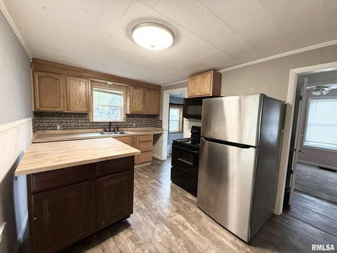 Tiny photo for 205 N PLUM Street, Desoto, IL 62924 (MLS # QC4268842)