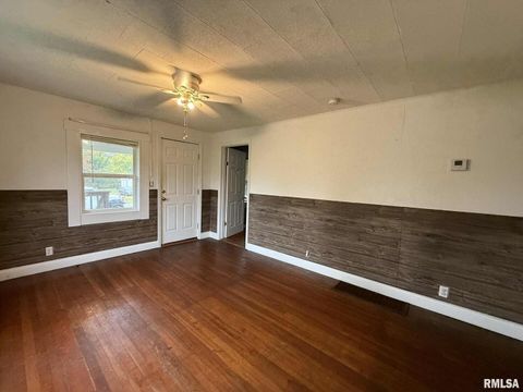 Tiny photo for 205 N PLUM Street, Desoto, IL 62924 (MLS # QC4268842)