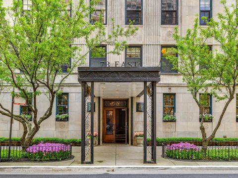 Tiny photo for 73 E Elm Street #4B, Chicago, IL 60611 (MLS # 12617520)