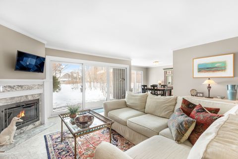 Tiny photo for 563 Woodview Road #D, Lake Barrington, IL 60010 (MLS # 12530664)