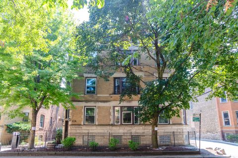 807 W NEWPORT Avenue 2 Chicago IL 60657