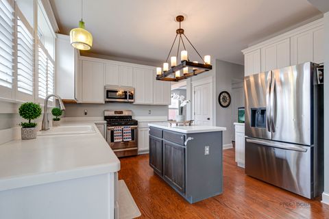 Tiny photo for Grayslake, IL 60030 (MLS # 12618463)