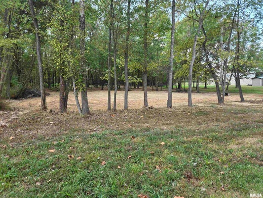 NORMAN RD, MARION, IL 62959 - Image 6cb47d2dbc34b4d3d380c7bb6aec2f8a/1161759390