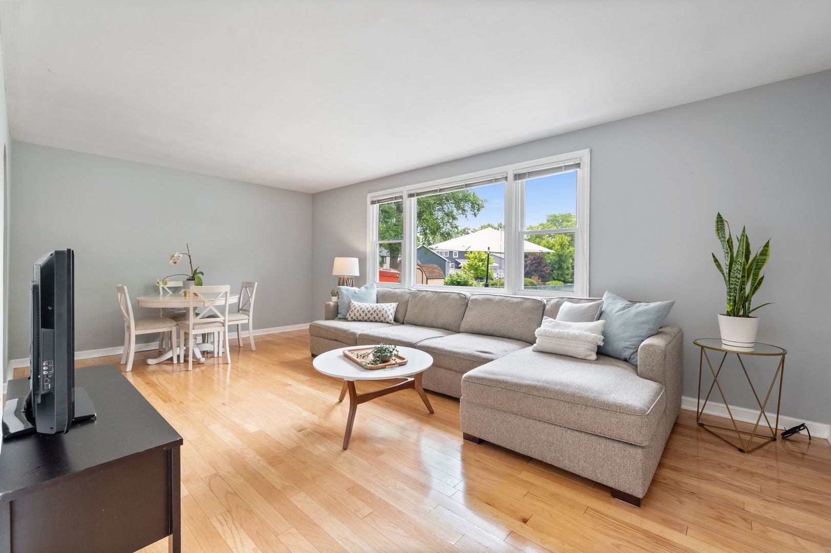 231 W Hickory Road
