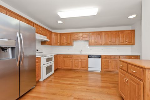 Tiny photo for 10509 San Luis Lane, Orland Park, IL 60467 (MLS # 12503943)