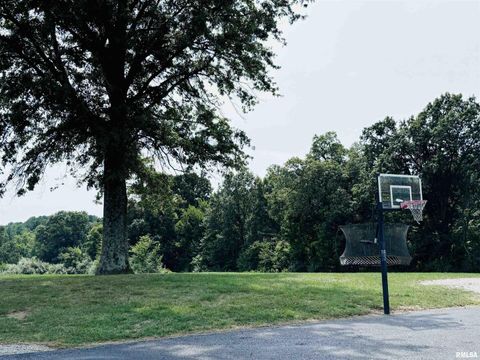 Tiny photo for 1292 CO Road 700 E Road, Carmi, IL 62821 (MLS # EB459982)