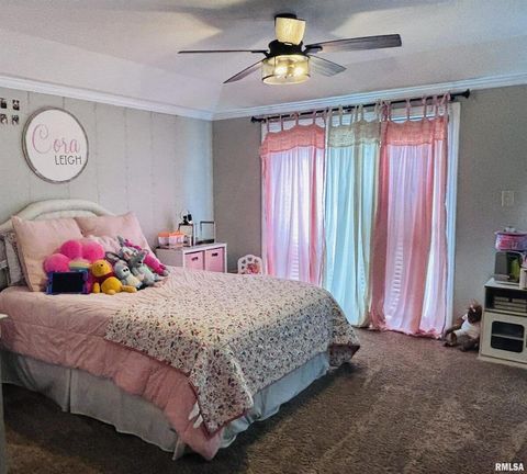 Tiny photo for 1292 CO Road 700 E Road, Carmi, IL 62821 (MLS # EB459982)