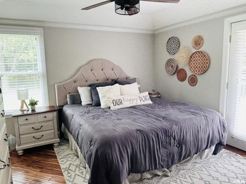 Tiny photo for 1292 CO Road 700 E Road, Carmi, IL 62821 (MLS # EB459982)