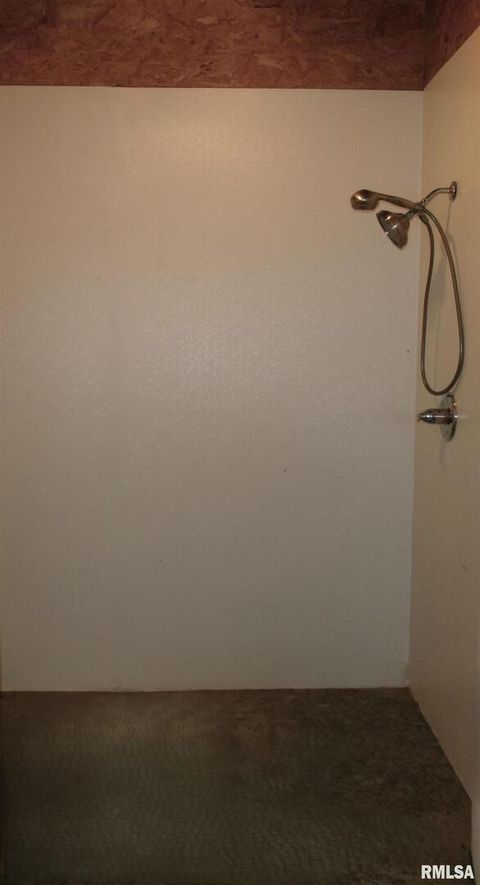 Tiny photo for 1292 CO Road 700 E Road, Carmi, IL 62821 (MLS # EB459982)