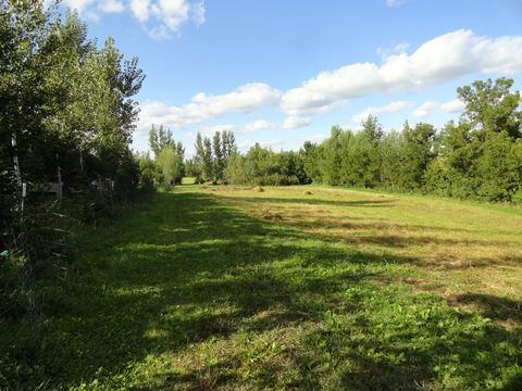 Tiny photo for 18250 Malvern Road, Morrison, IL 61270 (MLS # 12467310)