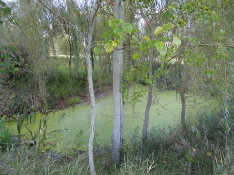 Tiny photo for 18250 Malvern Road, Morrison, IL 61270 (MLS # 12467310)