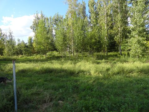 Tiny photo for 18250 Malvern Road, Morrison, IL 61270 (MLS # 12467310)