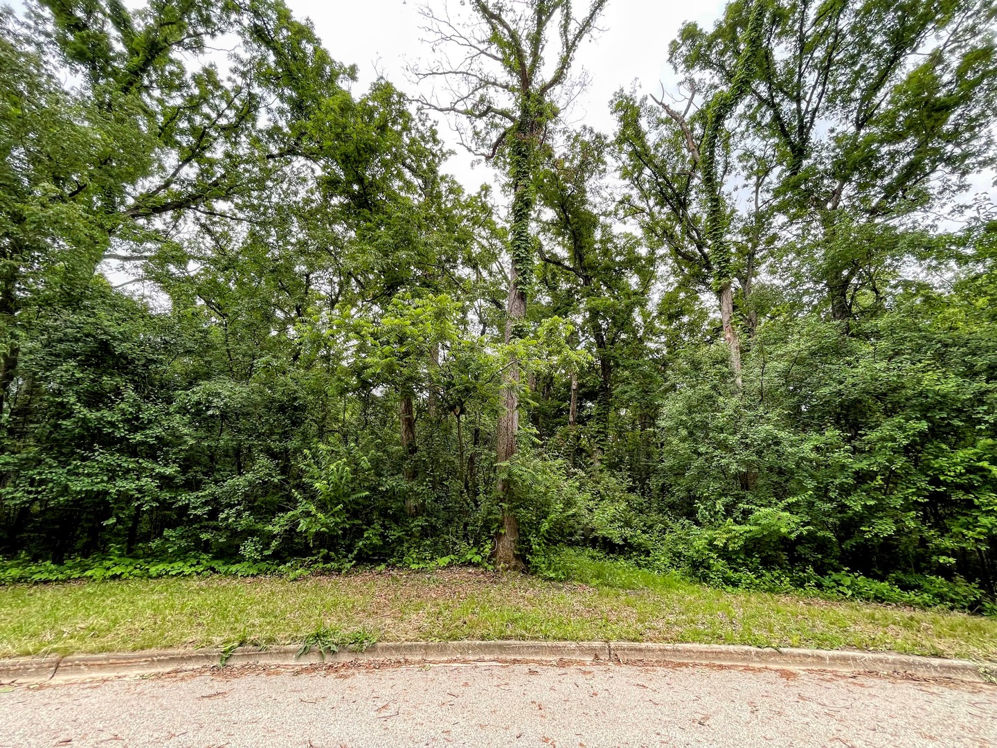 7407 Forest Oak Drive