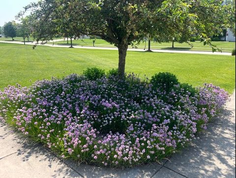 Tiny photo for 25812 91st Street, Salem, WI 53168 (MLS # 12613063)