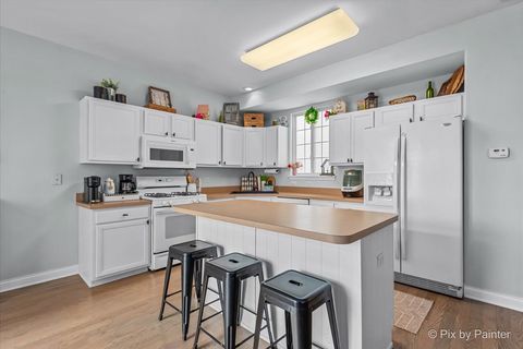 Tiny photo for 6421 Cherrywood Court, Fox Lake, IL 60020 (MLS # 12576931)