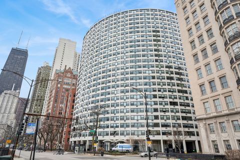 1150 N Lake Shore Drive 24H Chicago IL 60611