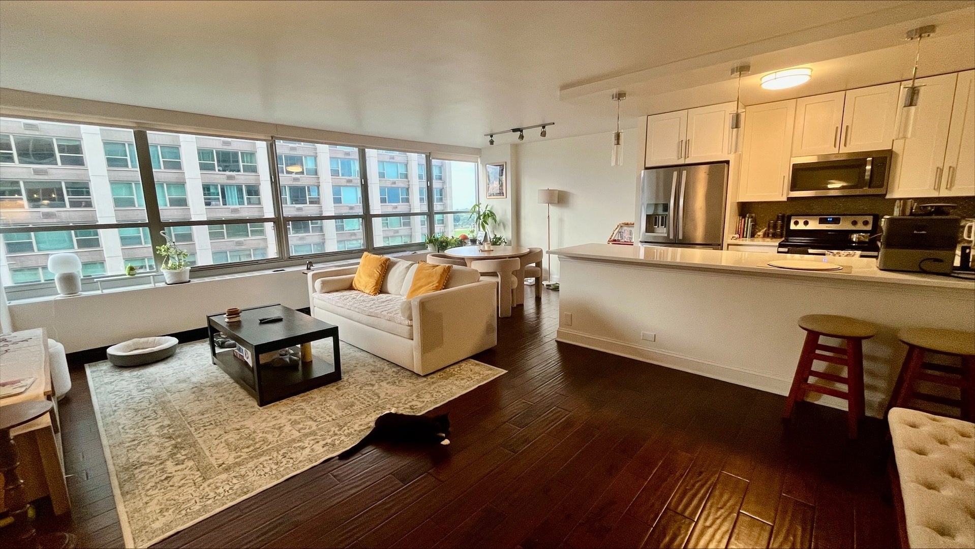3550 N Lake Shore Drive 920