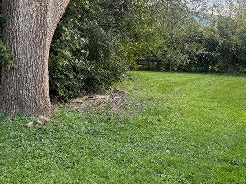 Tiny photo for 962 Central Avenue, Matteson, IL 60443 (MLS # 12782501)