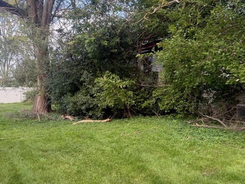 Tiny photo for 962 Central Avenue, Matteson, IL 60443 (MLS # 12782501)