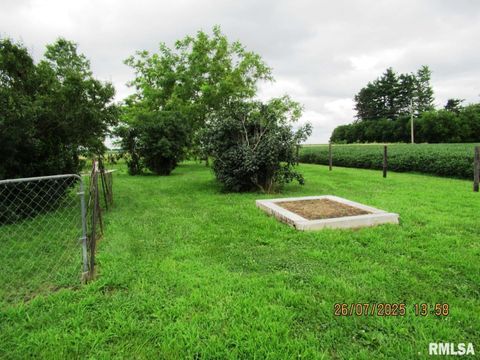 Tiny photo for 719 Quincy Avenue, Clarence, IA 52216 (MLS # QC4265853)