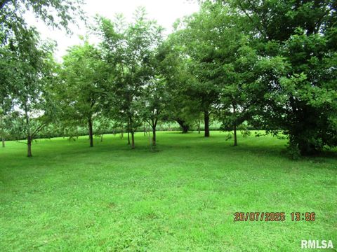 Tiny photo for 719 Quincy Avenue, Clarence, IA 52216 (MLS # QC4265853)