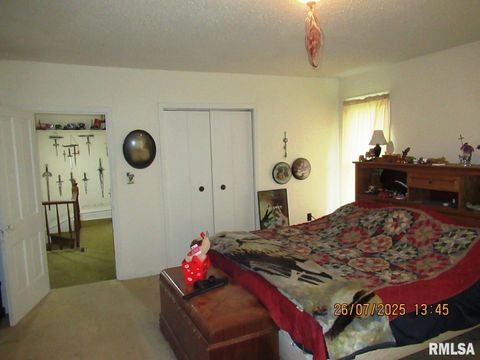 Tiny photo for 719 Quincy Avenue, Clarence, IA 52216 (MLS # QC4265853)