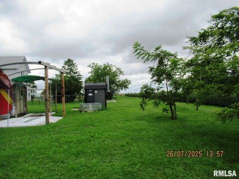 Tiny photo for 719 Quincy Avenue, Clarence, IA 52216 (MLS # QC4265853)