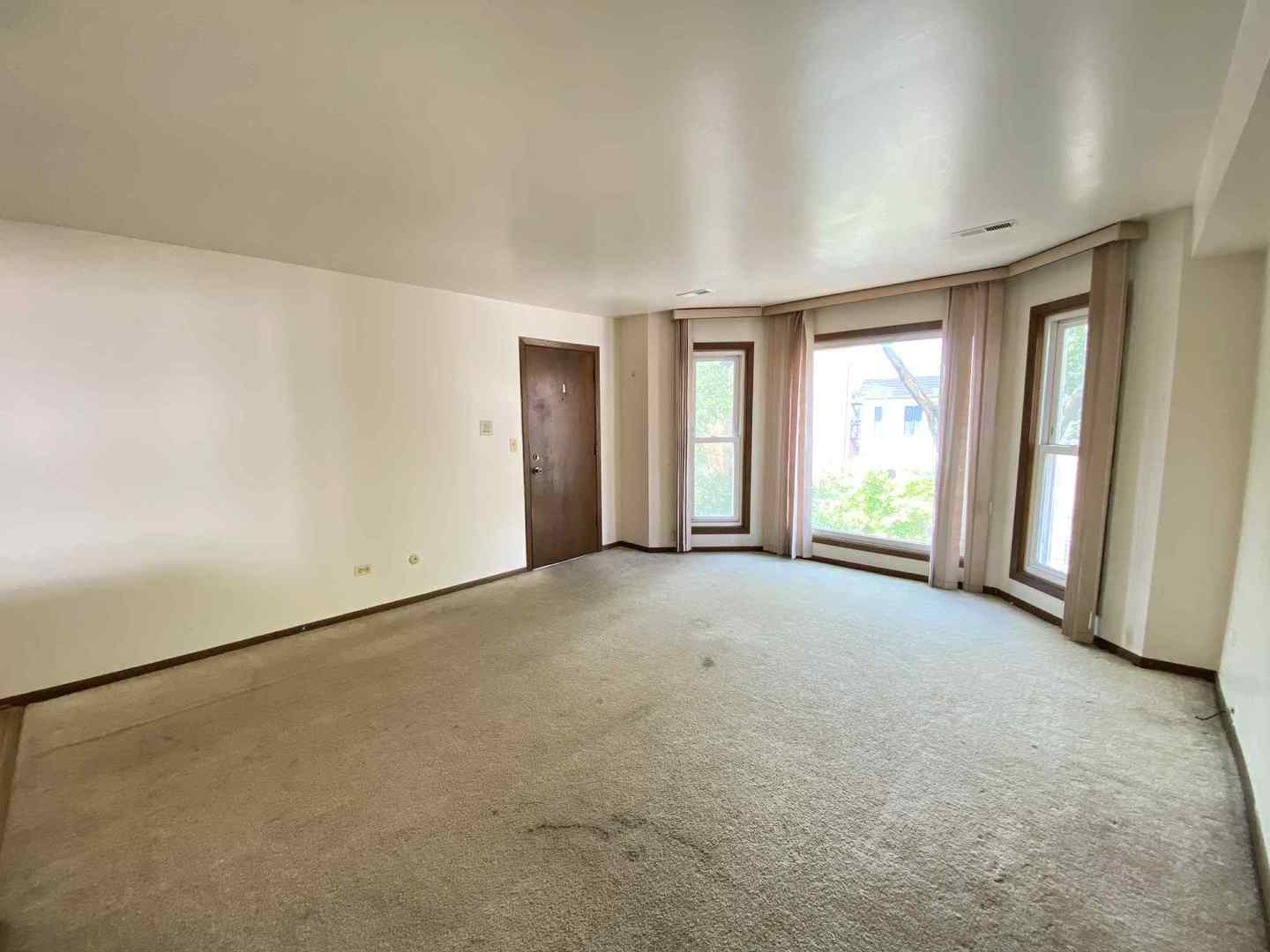 919 S Carpenter Street 3N