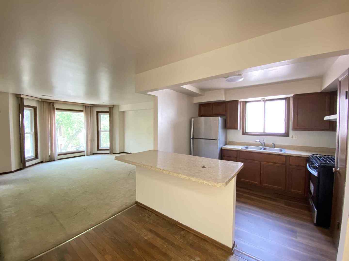 919 S Carpenter Street 3N