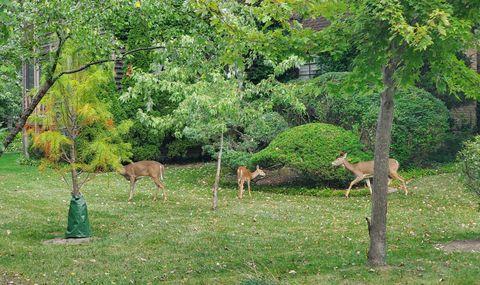 Tiny photo for 2013 Castlewood Road, Highland Park, IL 60035 (MLS # 12501853)