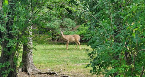 Tiny photo for 2013 Castlewood Road, Highland Park, IL 60035 (MLS # 12501853)