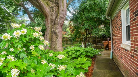 Tiny photo for 1009 W Green Street, Champaign, IL 61821 (MLS # 12657889)
