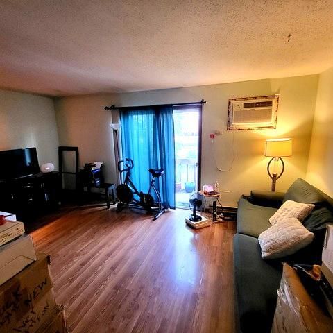 Tiny photo for 212 Madison Street #3B, Joliet, IL 60435 (MLS # 12417128)