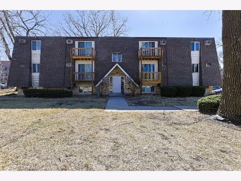 Photo of 212 Madison Street #3B, Joliet, IL 60435 (MLS # 12417128)