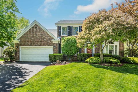 1386 Berkley Court Buffalo Grove IL 60089