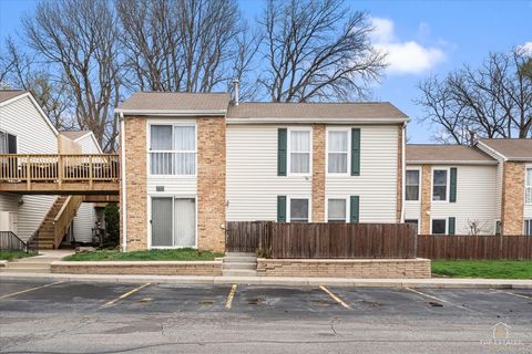 Photo of 1976 Kenilworth Circle #E, Hoffman Estates, IL 60169 (MLS # 12621396)