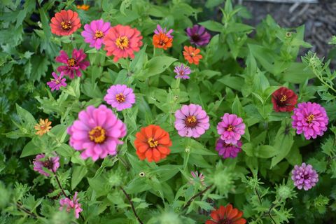 Tiny photo for 233 Wildflower Lane, Round Lake Beach, IL 60073 (MLS # 12549564)