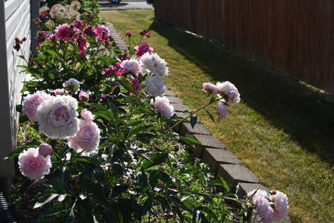 Tiny photo for 233 Wildflower Lane, Round Lake Beach, IL 60073 (MLS # 12549564)