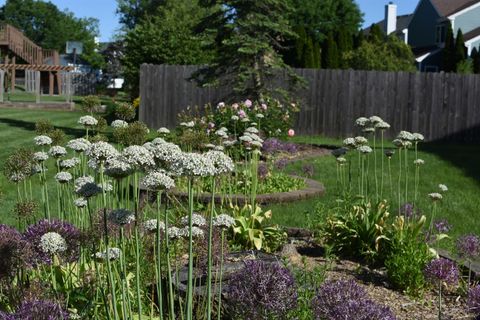 Tiny photo for 233 Wildflower Lane, Round Lake Beach, IL 60073 (MLS # 12549564)