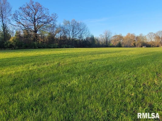 000 E MAPLE STREET, MCLEANSBORO, IL 62859 - Image 6dc9f9e367d598955cbe857d330bcb4d/3692039159