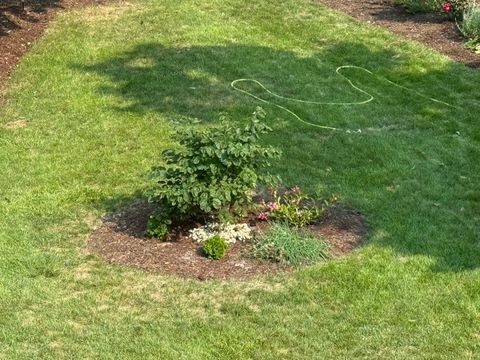 Tiny photo for 133 S Walkup Avenue, Crystal Lake, IL 60014 (MLS # 12506226)