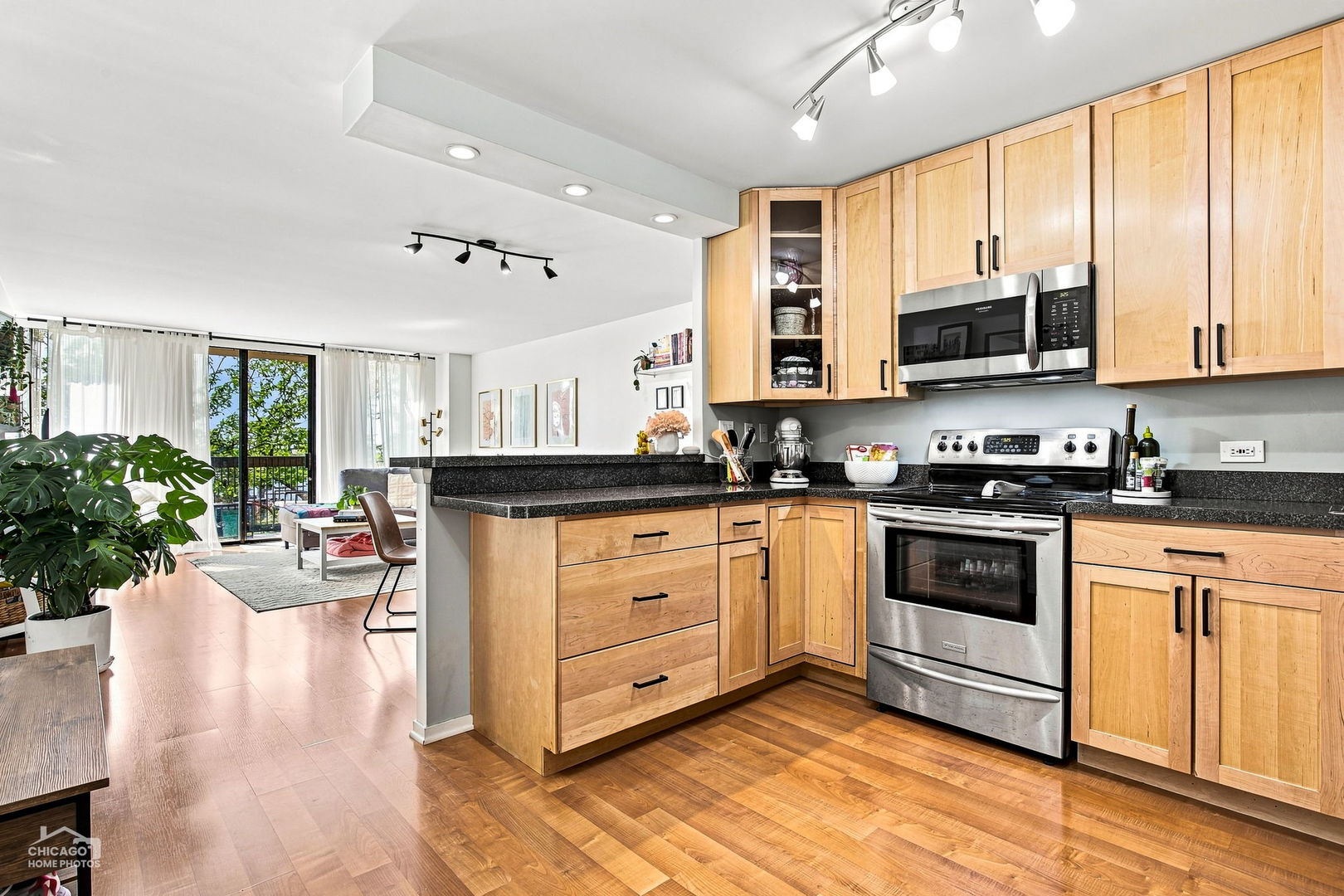 1660 N LaSalle Drive 508