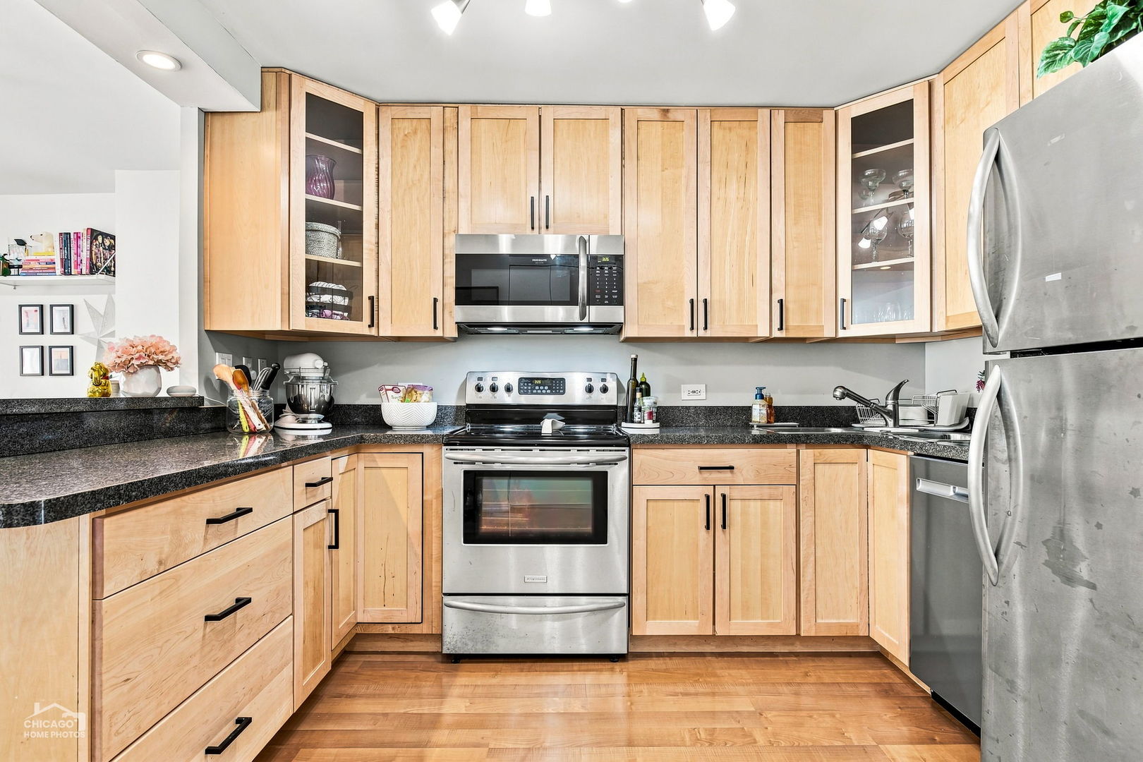 1660 N LaSalle Drive 508