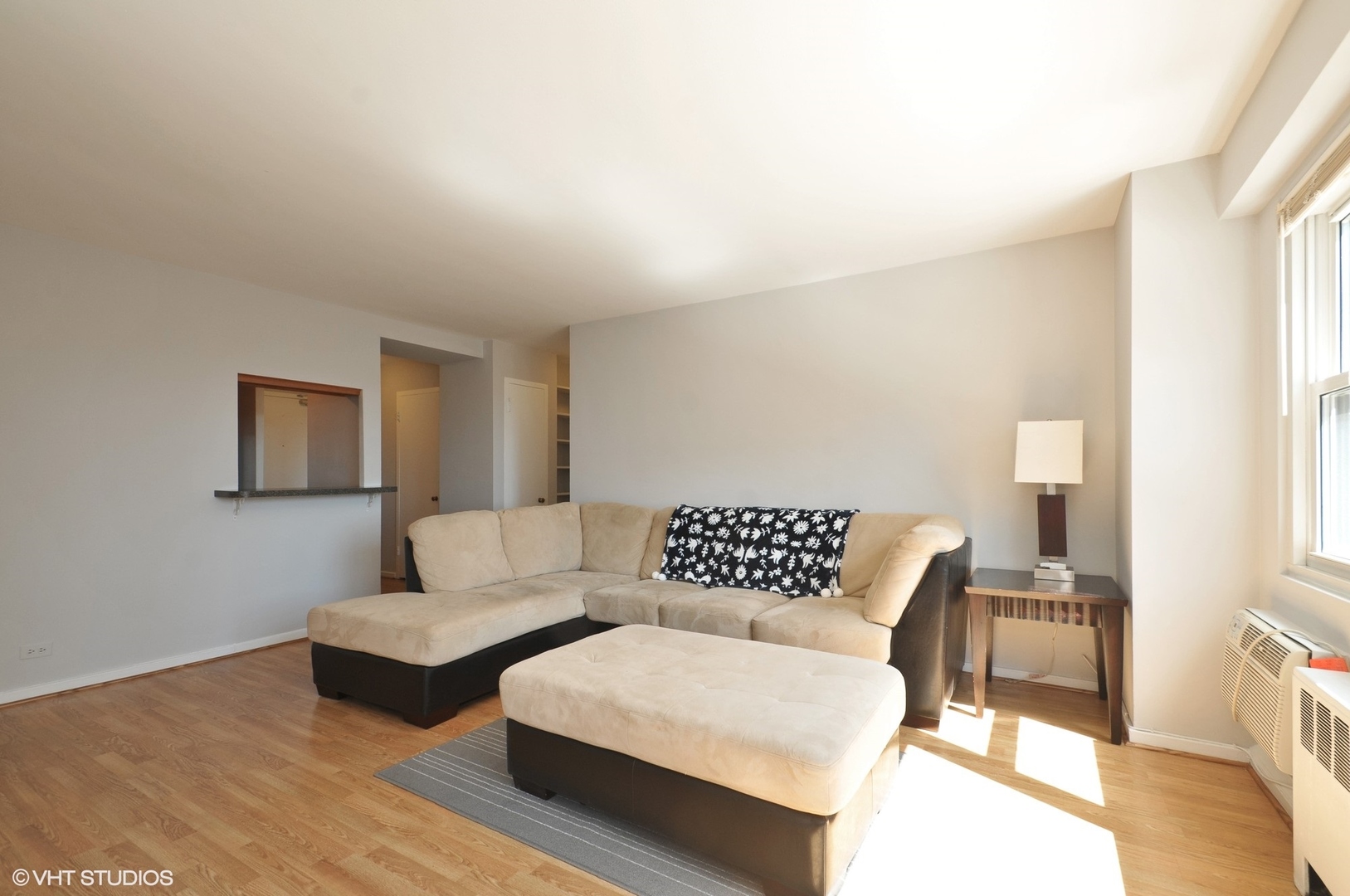 2909 N Sheridan Road 703