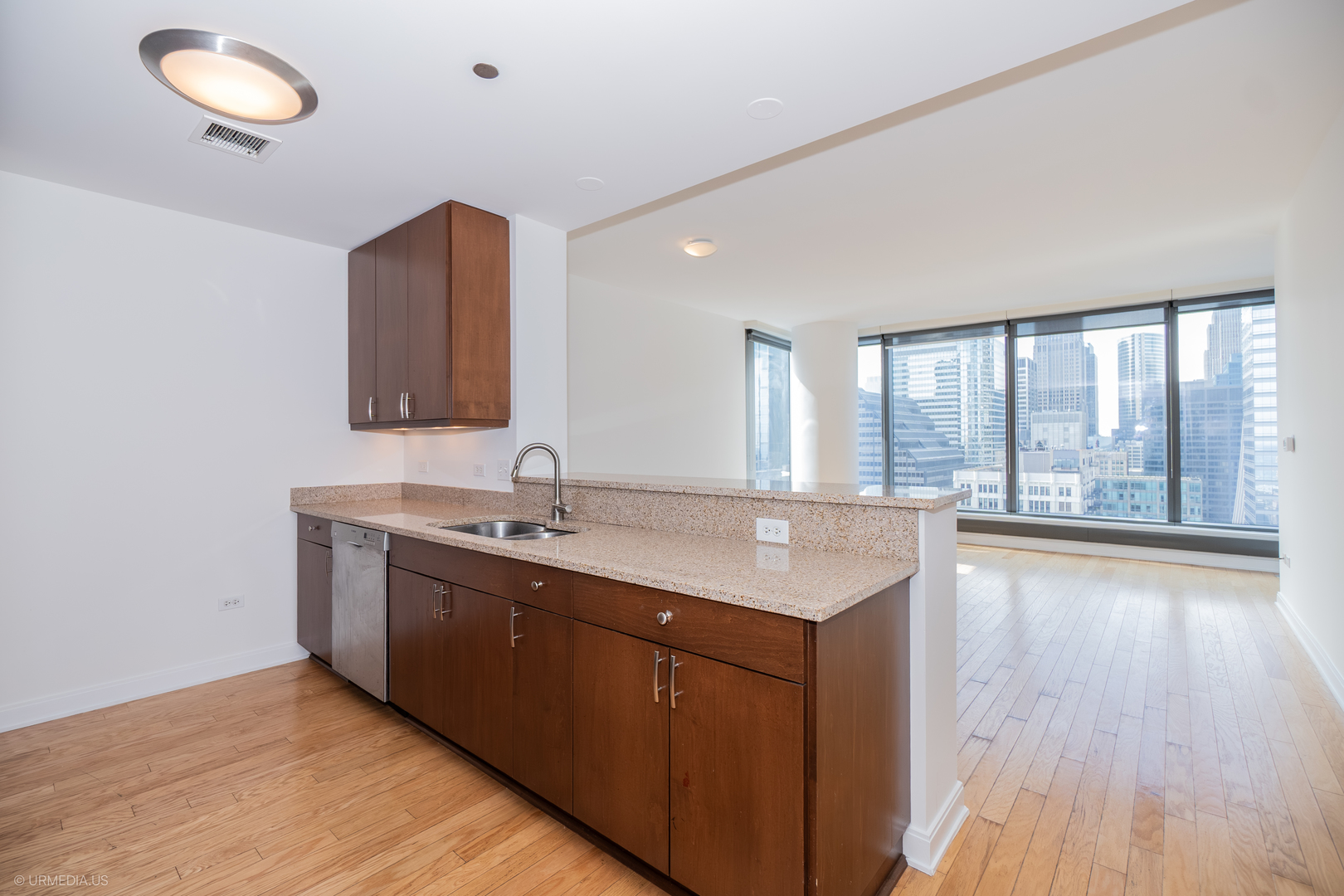 60 E Monroe Street 2705