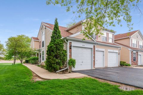 Photo of 63 Tyler Court #B, Streamwood, IL 60107 (MLS # 12634121)