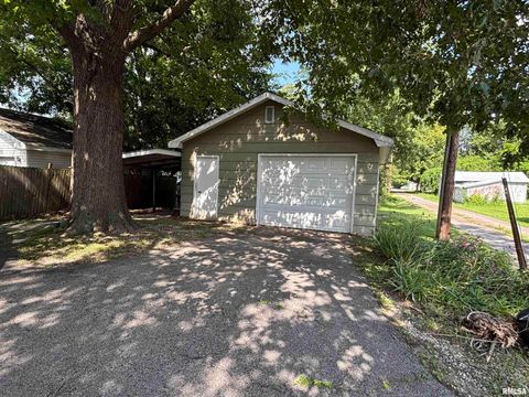 Tiny photo for 1806 MARKET Street, Metropolis, IL 62960 (MLS # EB460616)
