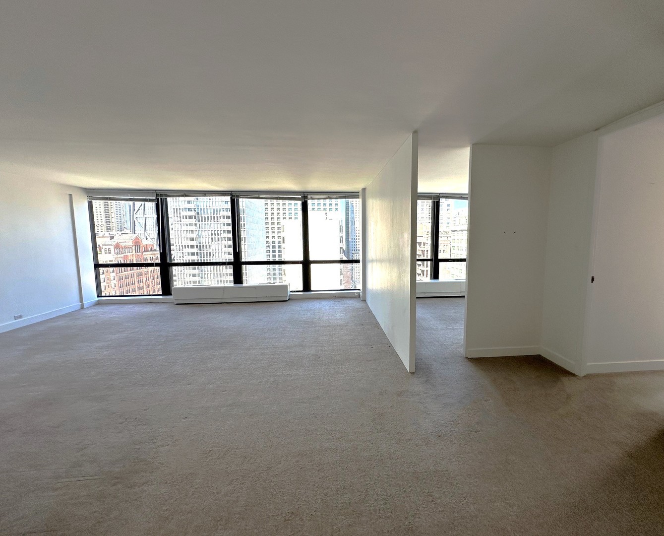 910 N Lake Shore Drive 2220