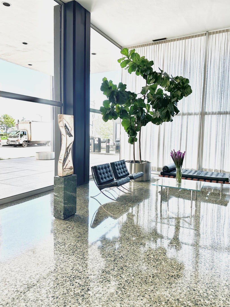910 N Lake Shore Drive 2220