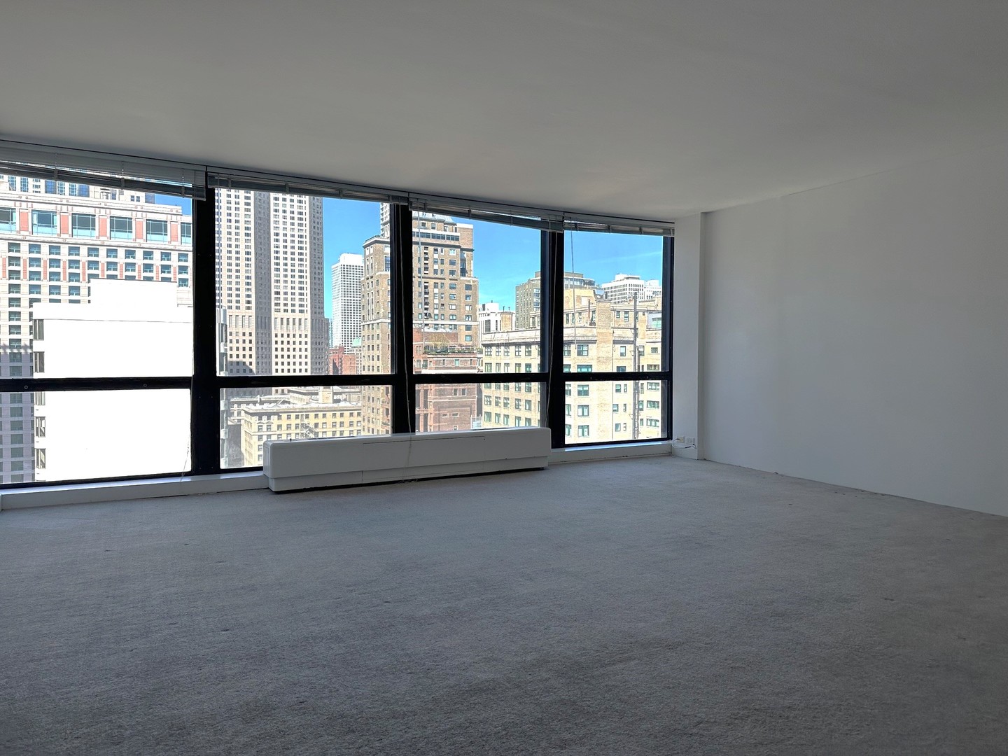 910 N Lake Shore Drive 2220
